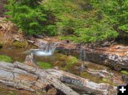 Small Creek. Photo by Bob Hosea.