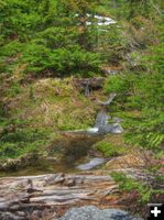 Little creek falls. Photo by Bob Hosea.