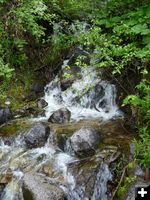 Small stream. Photo by Bob Hosea.