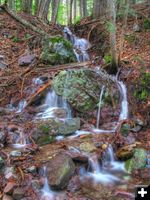 Small stream. Photo by Bob Hosea.