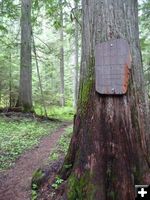 Wilderness Boundary sign. Photo by Bob Hosea.