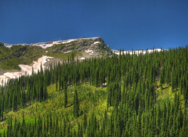 Little Spar Ridge. Photo by Bob Hosea.