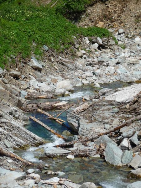 Spar Creek. Photo by Bob Hosea.