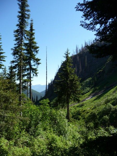 Spar Creek drainage. Photo by Bob Hosea.