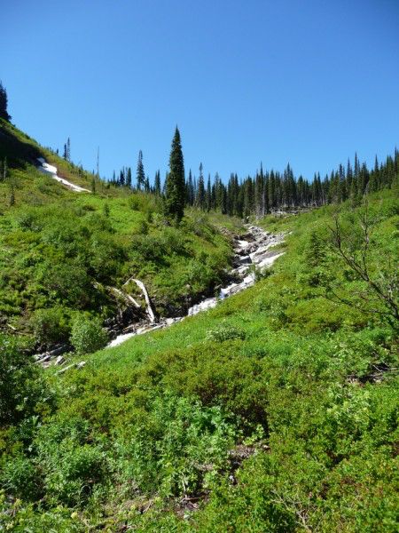 Spar Creek. Photo by Bob Hosea.