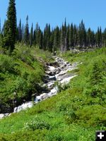 Spar Creek. Photo by Bob Hosea.