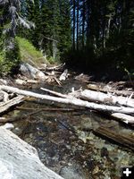 Spar Creek. Photo by Bob Hosea.