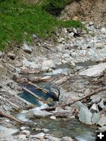 Spar Creek. Photo by Bob Hosea.