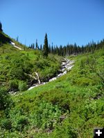 Spar Creek. Photo by Bob Hosea.