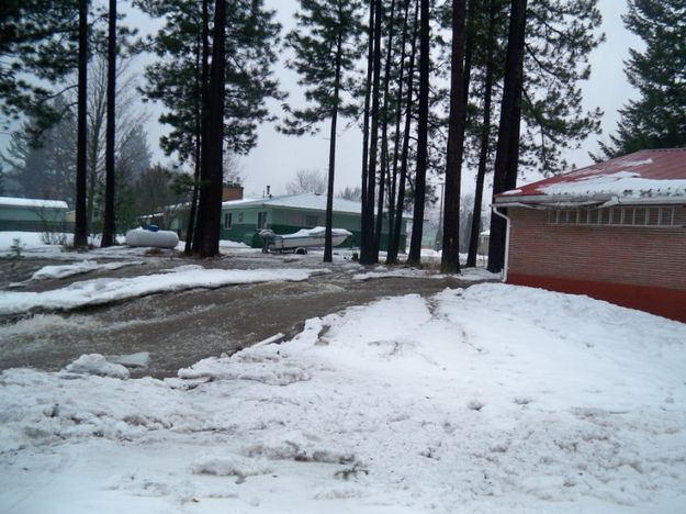 Flooding across yard. Photo by Elisabeth Covey.