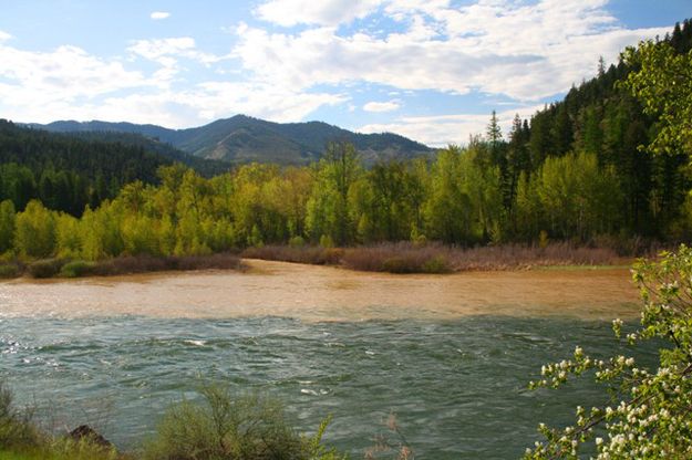 The Fisher meets the Kootenai. Photo by LibbyMT.com.