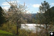 Along the Kootenai River. Photo by LibbyMT.com.