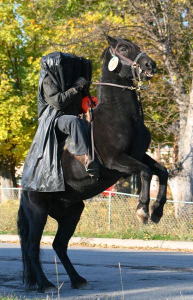 The Headless Horseman. Photo by LibbyMT.com.