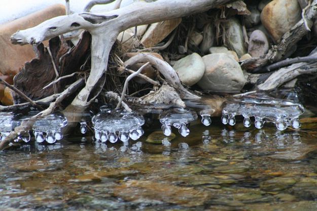 Beautiful ice formation. Photo by LibbyMT.com.