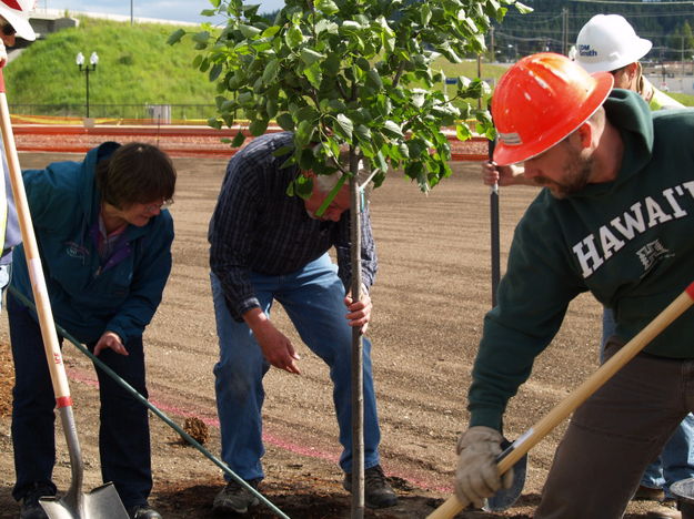 Planting a tree. Photo by Duane Williams, KLCB-KTNY Radio.