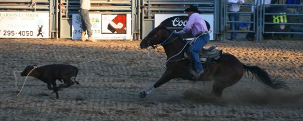 Tie-down Roping. Photo by LibbyMT.com.