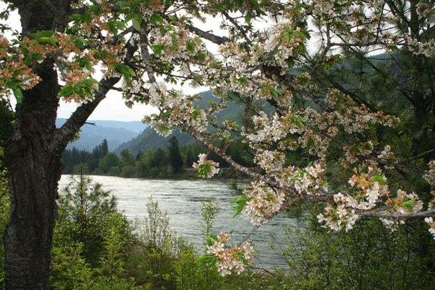 Along the Kootenai. Photo by LibbyMT.com.