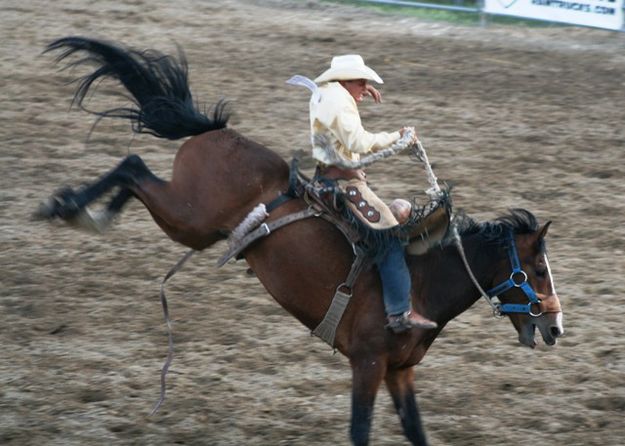 Saddle Bronc. Photo by LibbyMT.com.