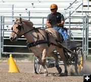 Fjord Horse Show. Photo by LibbyMT.com.