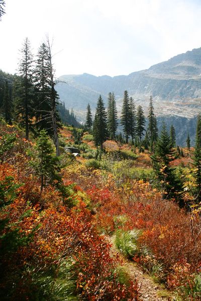 Along the trail. Photo by LibbyMT.com.