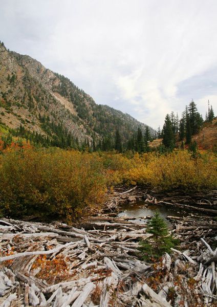 Leigh Lake. Photo by LibbyMT.com.