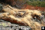 Beauty in the rocks. Photo by LibbyMT.com.