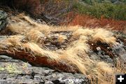 Beauty in the rocks. Photo by LibbyMT.com.