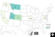 States reporting E. coli sickness. Photo by CDC.