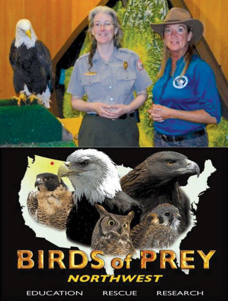 Birds of Prey. Photo by Libby Dam.
