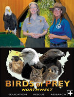 Birds of Prey. Photo by Libby Dam.