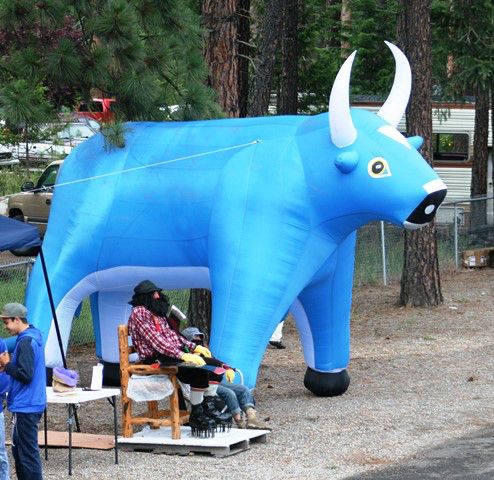 Babe the blue ox. Photo by LibbyMT.com.