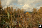 Through the cattails. Photo by LibbyMT.com.