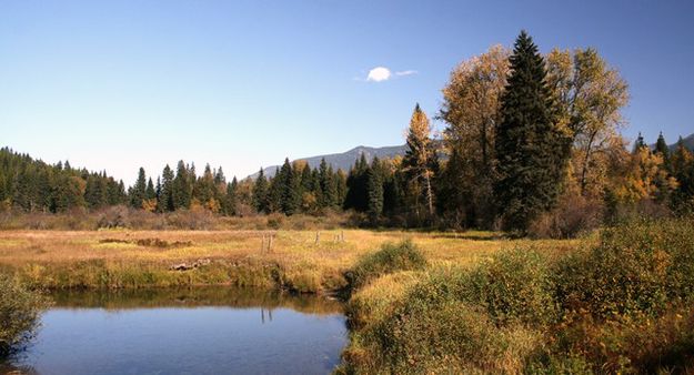 Bull River. Photo by LibbyMT.com.