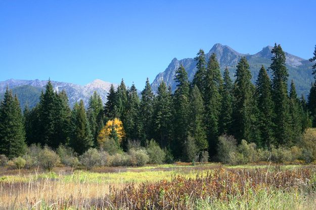 Bull River valley. Photo by LibbyMT.com.