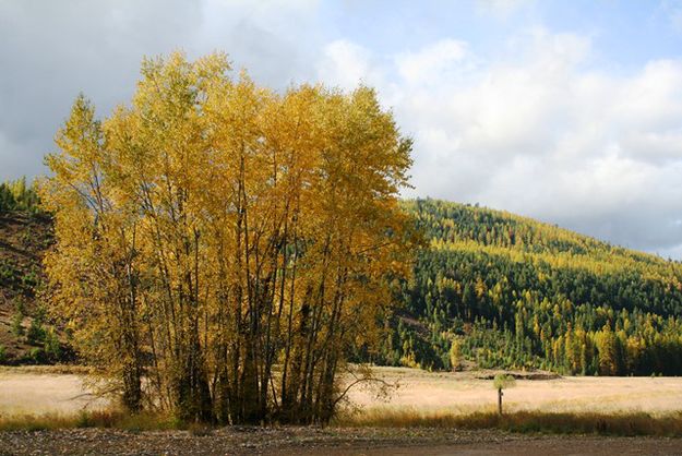 Schreiber Meadows. Photo by LibbyMT.com.