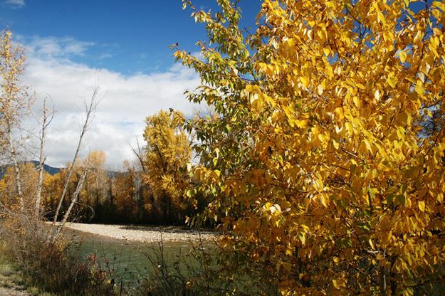 Libby Creek, 5th Street Extension. Photo by LibbyMT.com.