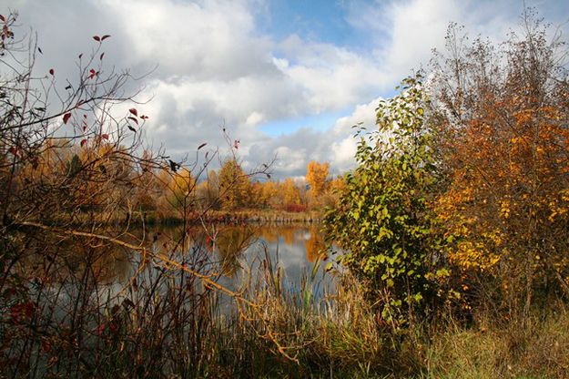 Mill pond. Photo by LibbyMT.com.