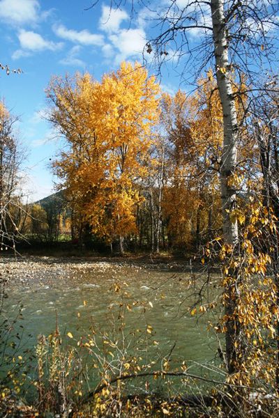 Libby Creek, 5th Street Extension. Photo by LibbyMT.com.