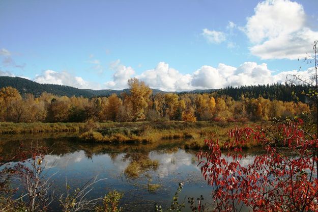 Mill pond. Photo by LibbyMT.com.