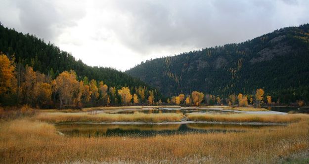 Kootenai River below Libby Dam. Photo by LibbyMT.com.