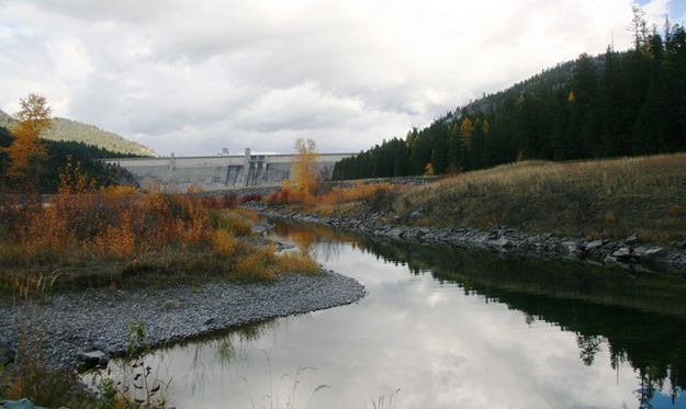 Kootenai River below Libby Dam. Photo by LibbyMT.com.