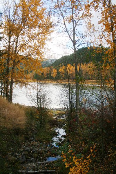 Kootenai River at Alexander Creek. Photo by LibbyMT.com.