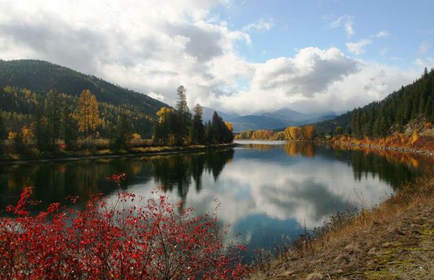 Kootenai River along Highway 37. Photo by LibbyMT.com.