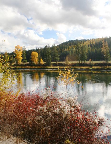 Kootenai River along Highway 37. Photo by LibbyMT.com.