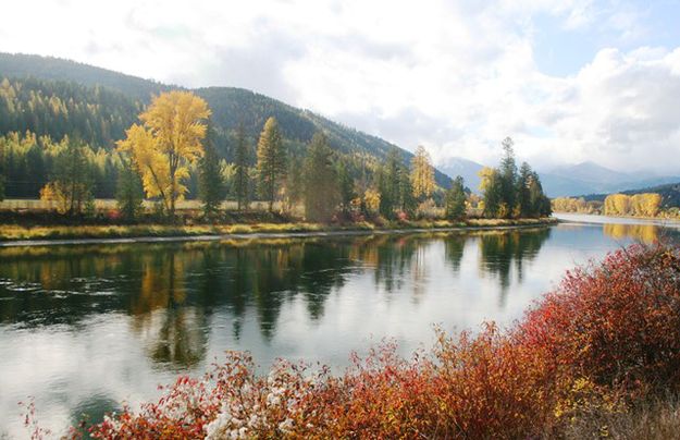 Kootenai River along Highway 37. Photo by LibbyMT.com.