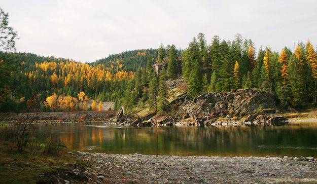 Kootenai River at Yaak River Campground. Photo by LibbyMT.com.