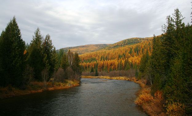 Yaak River. Photo by LibbyMT.com.