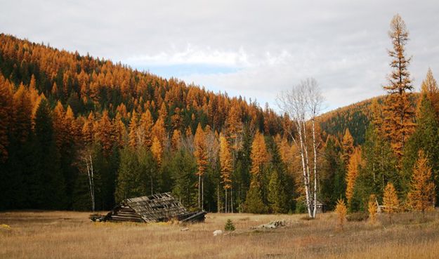 Along the Yaak River Road. Photo by LibbyMT.com.