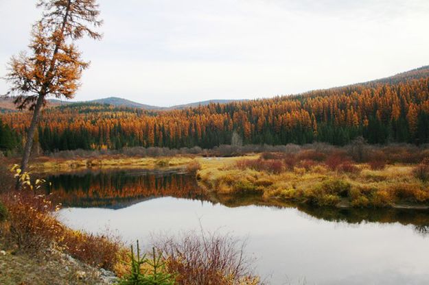 Yaak River. Photo by LibbyMT.com.