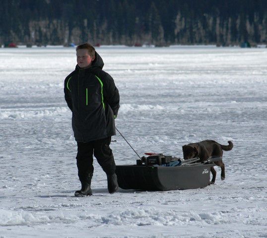 Got fish?. Photo by LibbyMT.com.